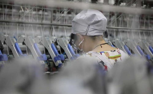 紡織業的演進與發展