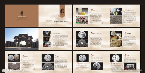 茶韻盡顯 專業(yè)茶葉產(chǎn)品畫冊設計圖代理代辦服務